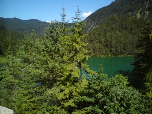 Fernsteinsee.